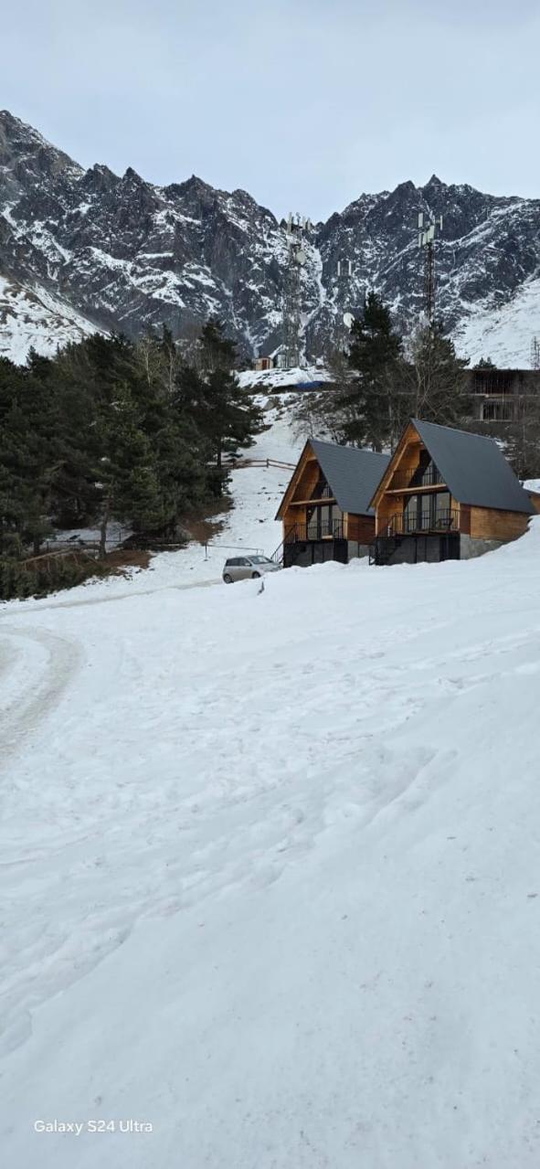 Cottage Paradise Kazbegi Exteriör bild